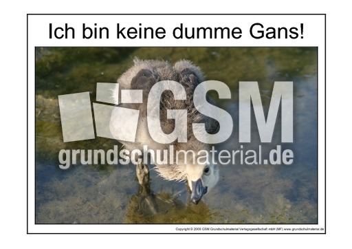 Dumme-Gans-3.pdf